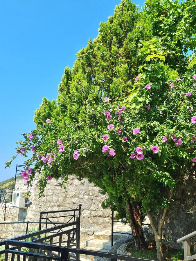 Villa Nera Будва Екстериор снимка
